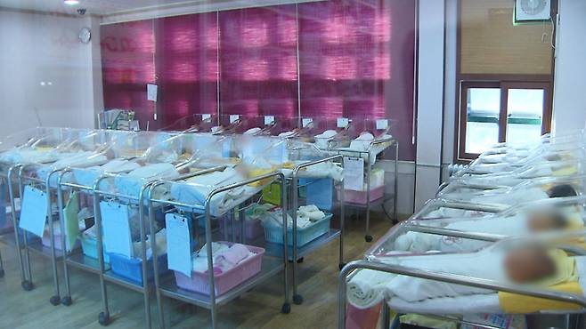 [전주MBC 자료사진]