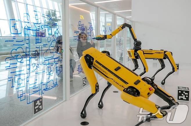 16일 오전 인천국제공항 제2터미널 277번 탑승구 인근에 마련된 아그네츠카 필라트(Agnieszka Pilat) 작가의 사족보행 로봇 전시에서 로봇 '바시아'와 '버니'가 그림을 그리고 있다. ‘See Spot Paint’를 주제로 한 이번 전시는 AI 기술을 활용한 로봇이 30일 동안 우리나라의 건축물과 비행기, 구름 등의 그림을 그리며 작품을 완성하게 된다. (공동취재) 2024.12.16/뉴스1 ⓒ News1 장수영 기자