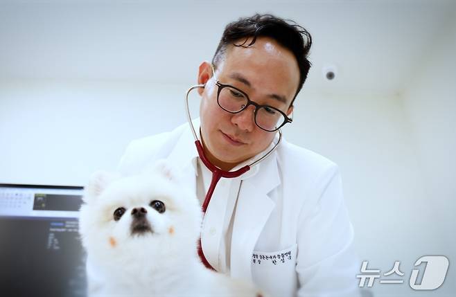 한성국 청담 장튼튼내과동물병원 원장(동물병원 제공) ⓒ 뉴스1