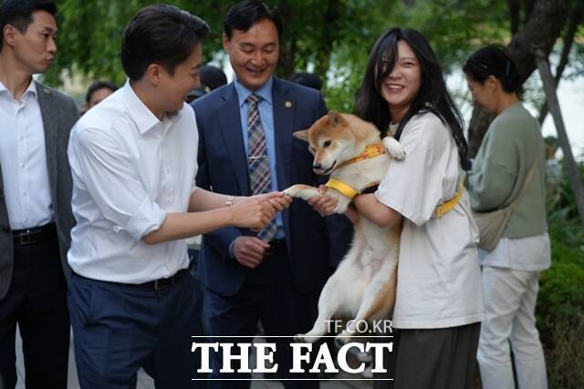 이준석 개혁신당 대선 후보가 TV토론 여성혐오 발언과 관련해 과거 홍준표 전 대구시장의 '돼지발정제' 논란을 소환하며 문제가 없다는 입장을 밝혔다. 이준석 개혁신당 대선 후보가 25일 오후 서울 송파구 석촌호수 유세 현장에서 한 시민의 반려견과 악수하고 있다. /개혁신당