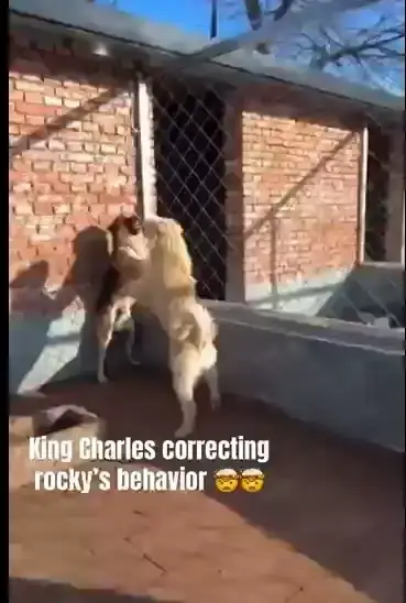 0cb3d92be4c631a960eb96a719d22f244ac81cc673487d9d044e13da26a32fb83f7aec