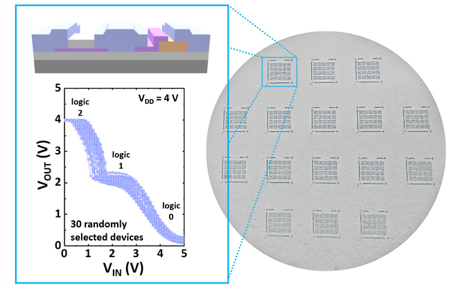 (개발된 삼진 로직 구조도) 웨이퍼 스케일로 제작된 텔루륨(TeO) / 인듐갈륨주석(InGaSnO) 산화물 기반 삼진 인버터 소자.(자료=한양대)