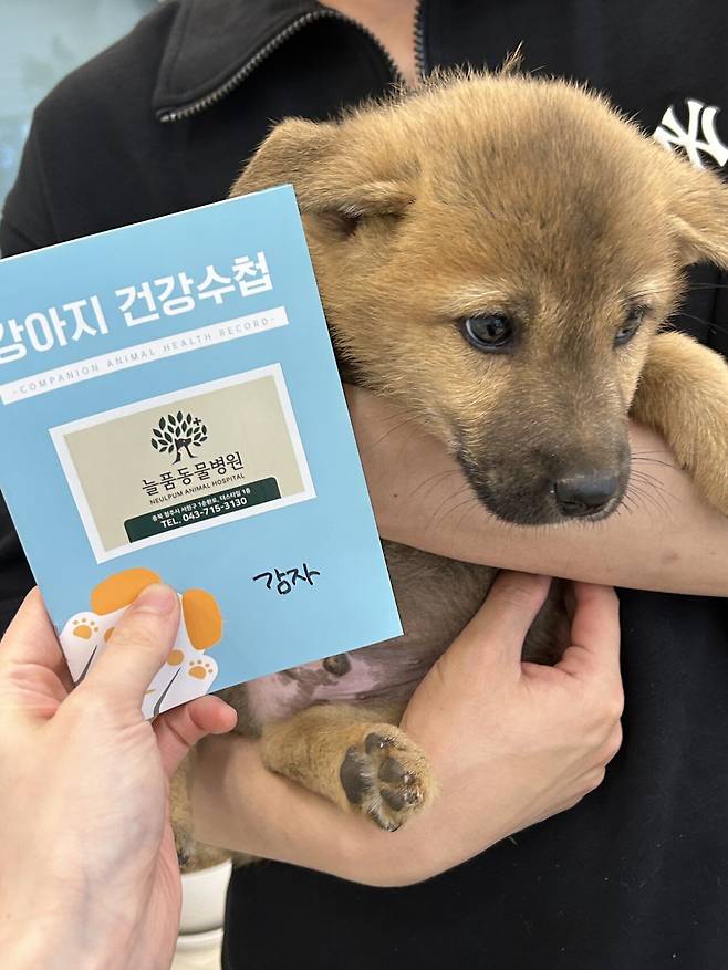 1748215540987.jpg 밭지키는 감자 성장일기