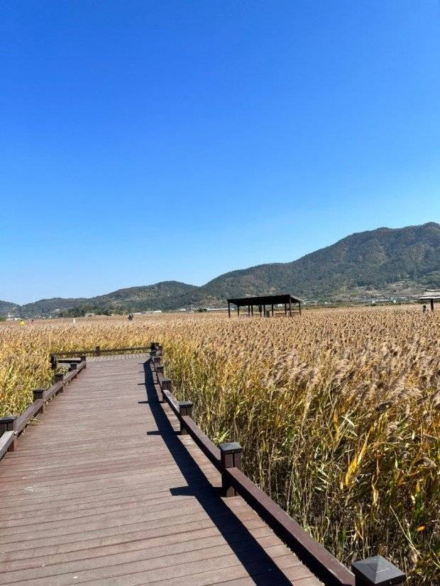 불호가 거의 없다는 국내 여행지 불호가 거의 없다는 국내 여행지 불호가 거의 없다는 국내 여행지