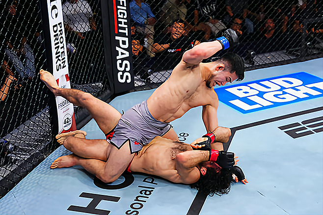 AFC 챔피언 박재현이 2025년 5월 중국 퍼포먼스 인스티튜트 상하이 Road to UFC 시즌4 라이트급 준준결승 호주 Eternal MMA 챔피언 잭 베커한테 마운트를 타면서 그라운드 앤드 파운드를 하고 있다. 사진=TKO