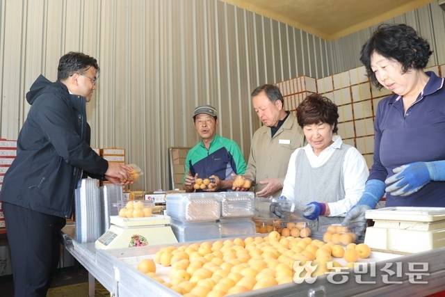 박동헌 충북 영동 황간농협 조합장(오른쪽 세번째)과 이한국 NH농협 영동군지부장(〃 다섯번째)이 김교철씨(〃 네번째)와 자두와 살구 출하 현장을 살피고 판로 확대 방안을 논의하고 있다.