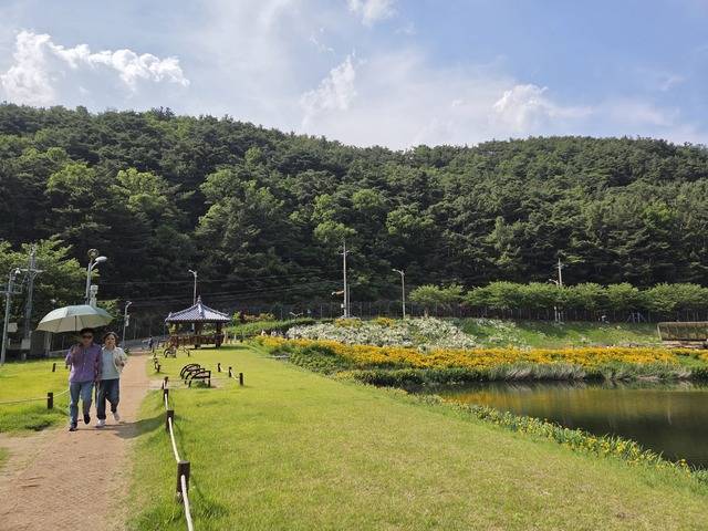 진밭골 산림공원은 최근 가족 단위 방문객을 위한 산책코스와 야영장, 생태 프로그램 등을 운영하고 있는 도심형 힐링 명소이다. 권예인 인턴