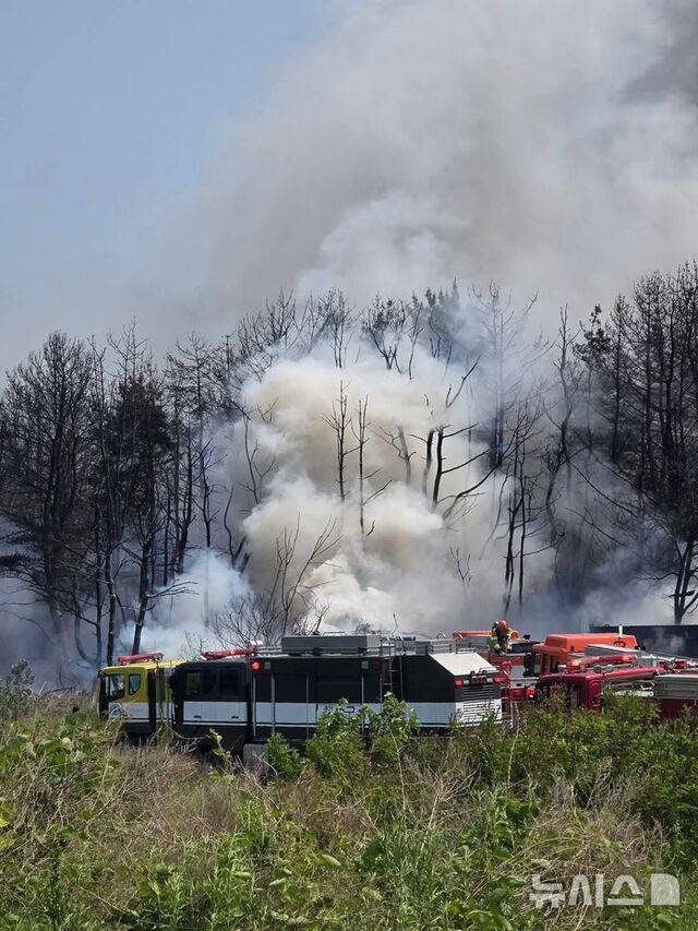 29일 해군초계기가 추락한 경북 포항시 동해면 사고 현장./ 뉴시스