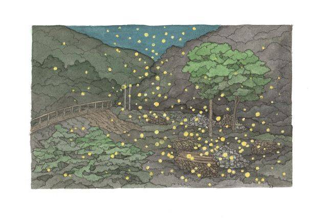 안터지구는 5월 말부터 6월 초까지 반딧불이 축제를 연다. 해설프로그램과 함께 안터지구를 둘러볼 수 있는 좋은 기회다. ⓒ일러스트 박신영 작가