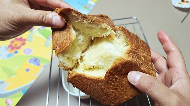 20250528_233740.jpg 저녁 와이프가 한 간짜장 사온 메밀전병과 빵