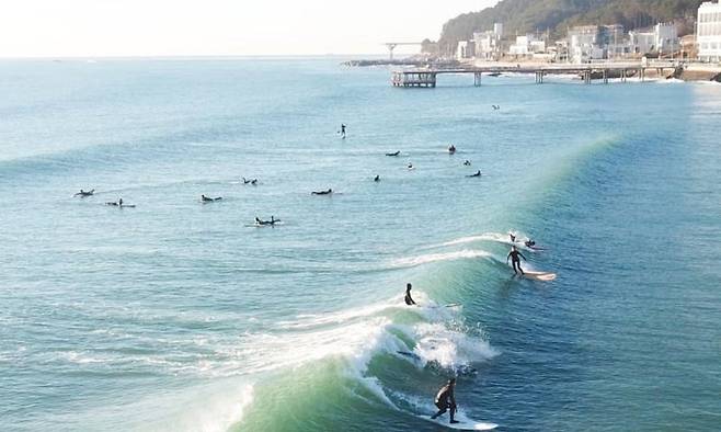 서프홀릭의 서핑 강습 프로그램 현장. 서프홀릭 제공