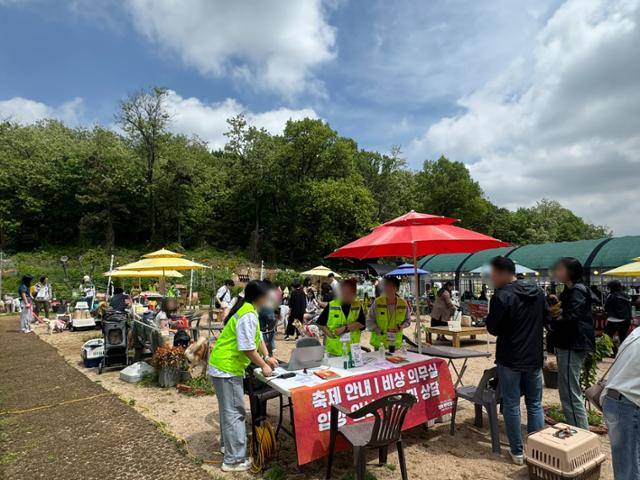 지난 17일 인천 다남숲멍빌리지에서 개최된 핌피 입양제 현장의 모습.
