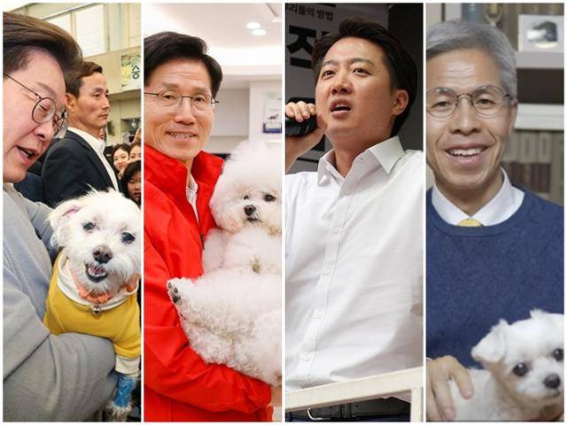 이준석(왼쪽 세번째) 개혁신당 후보를 제외한 이재명(왼쪽부터) 더불어민주당 후보, 김문수 국민의힘 후보, 권영국 민주노동당 후보가 동물 관련 공약을 내놨다. 연합뉴스·뉴시스·민주노동당 제공