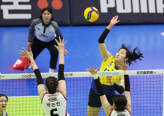 공격하는 정지윤. 사진[연합뉴스]