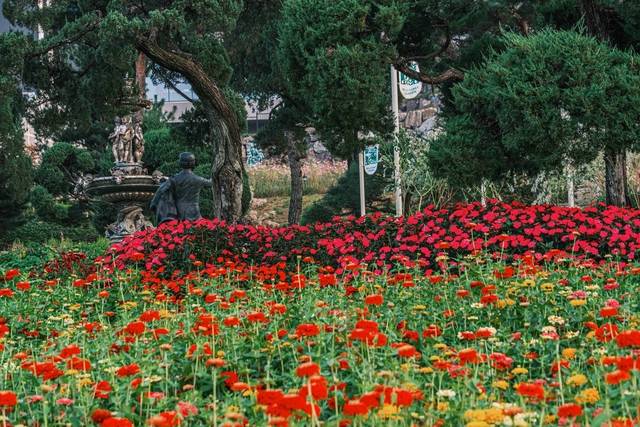 충북 증평 벨포레목장에 조성된 꽃밭의 꽃이 만개했다. 한국관광공사 제공