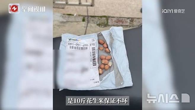 [뉴시스] 라이브 커머스를 통해 땅콩 10근(5kg)을 주문한 중국의 한 소비자가 실제로는 10여 알의 땅콩을 배송받았다. (사진=iQIYI(爱奇艺))