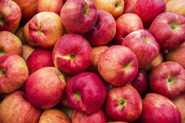 사과. 이미지투데이