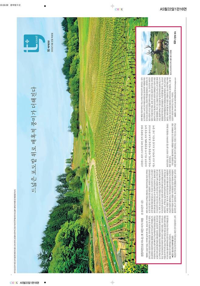 세계일보 여행면. 편집=김창환 기자