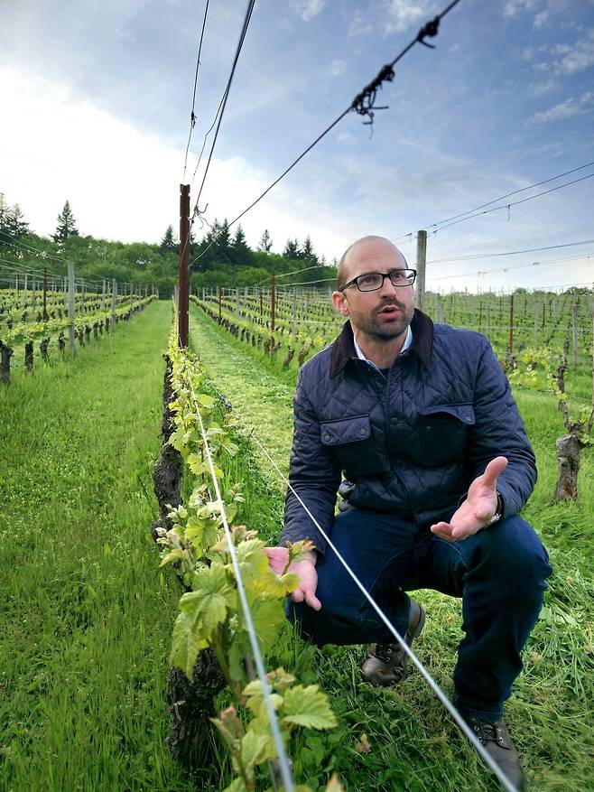 바이오다이내믹 농법을 설명하는 크리스 톰 빈야즈 오너 톰 게리(Tom Gerrie)