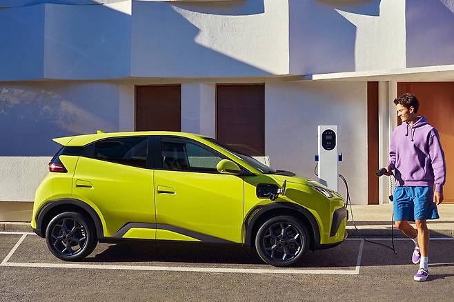 BYD ‘돌핀 서프’