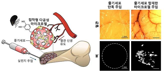연구 이미지 [포항공대 제공. 재판매 및 DB 금지]