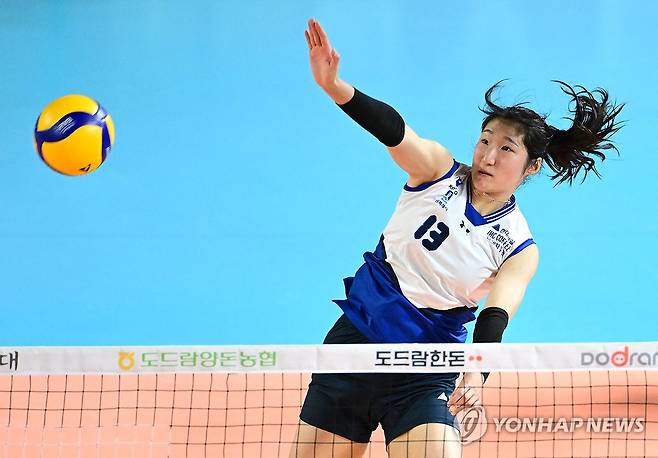 공격하는 현대건설 정지윤 (대전=연합뉴스) 27일 대전 충무체육관에서 열린 프로배구 V리그 여자부 플레이오프 2차전 정관장 레드스파크스와 현대건설 힐스테이트와의 경기에서 현대건설 정지윤이 공격하고 있다. 2025.3.27 [한국배구연맹 제공. 재판매 및 DB 금지] swan@yna.co.kr