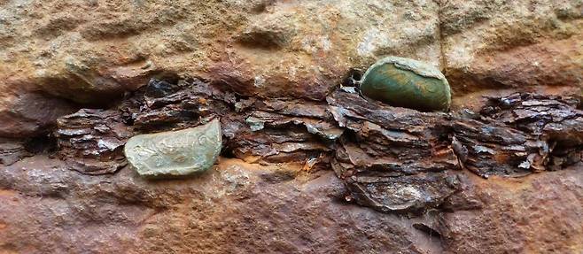 자이언트 코즈웨이에 박힌 동전 [내셔널 트러스트 홈페이지 캡처. 재판매 및 DB 금지]