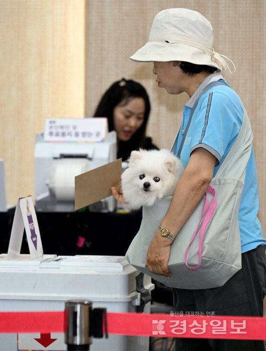 ▲ 29일 울산 남구청 대강당에 마련된 사전투표소에서 한 유권자가 반려견과 투표를 하고 있다. 김경우기자
