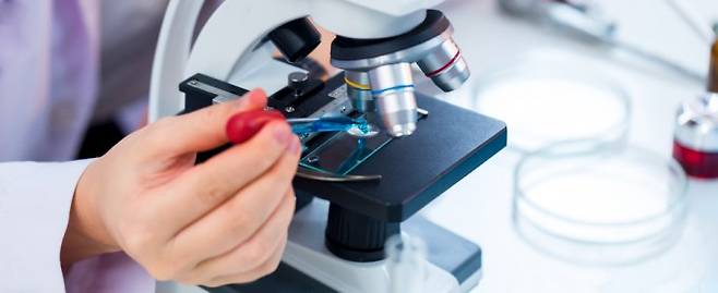 연구자들이 주력 분야에서 벗어날수록 연구 영향력이 떨어진다는 분석이 나왔다. 게티이미지코리아 제공