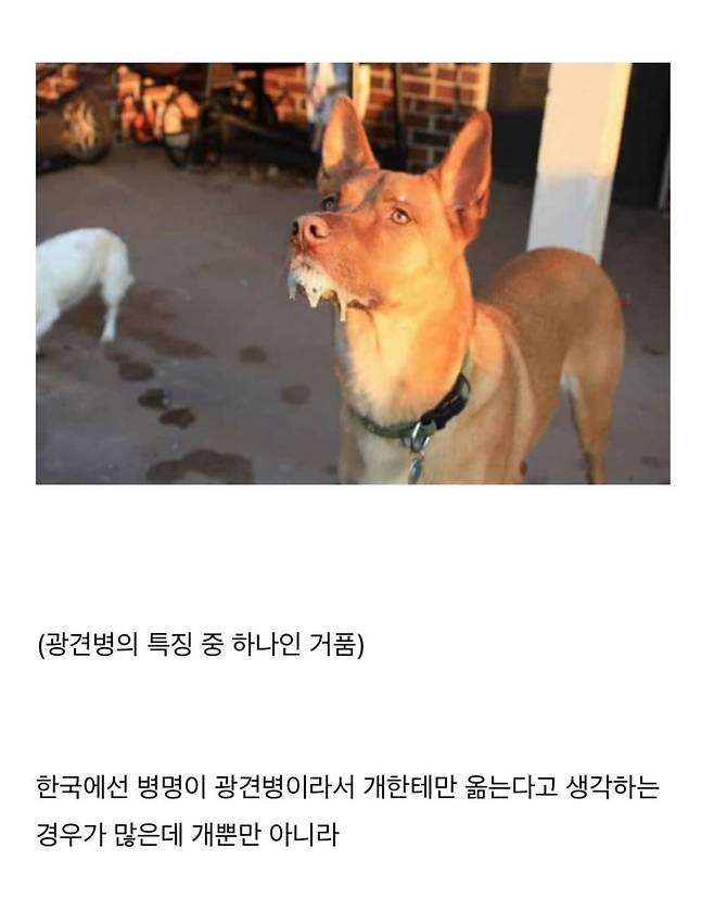 한번 걸리면 답이 없는 병