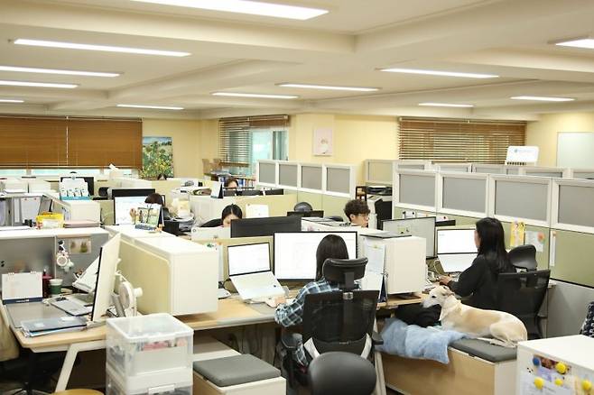 네츄럴코어 직원들이 반려동물과 동반출근해 일하고 있다. 네츄럴코어 제공