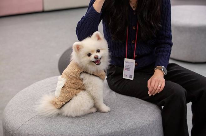 펫프렌즈 직원과 함께 출근한 강아지 펫프렌즈 제공