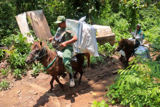인도네시아 대선·총선을 하루 앞둔 지난해 2월 13일 동자바주 안동그레조에서 선거관리위원회 관계자들이 산간 마을 투표소에 전달할 투표함과 물품을 말에 싣고 산을 넘고 있다. 안동그레조=AP 연합뉴스 자료사진