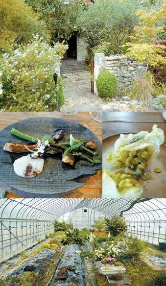 레스토랑 주변 밭에서 재배한 300여종의 채소를 활용해 요리하는데 특히 남은 재료는 말리거나 절여 보관하는 등 남김없이 사용한다. 코바야시 간지 셰프의 도미와 산채, 눈물콩 요리 등이 특히 기억에 오래 남는다.