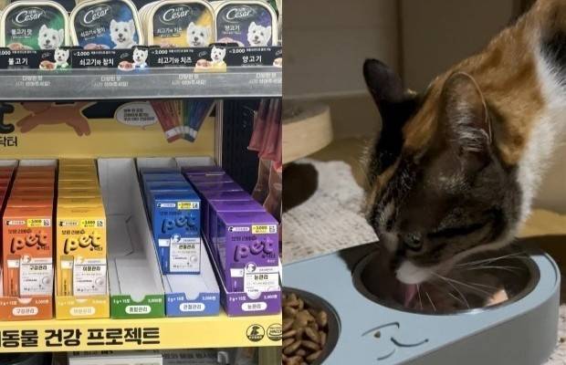 Left: Boryung Liebepet pet supplement products are displayed at Daiso's Minrak branch in Gyeonggi Province. Right: A cat named Sambok takes a Boryung Liebepet pet supplement. [YOON SEUNG-JIN]