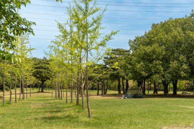 광양 백운그린랜드 전경. 광양시 제공