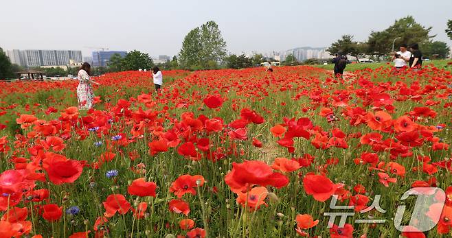 자료사진/뉴스1 ⓒ News1