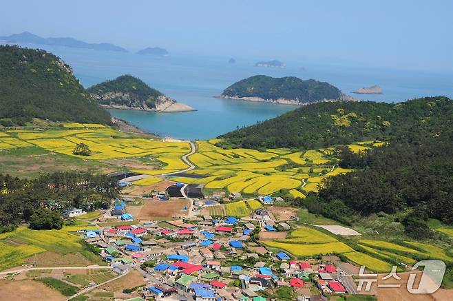 관매마을 유채밭(진도군청 누리집 갈무리)/뉴스1