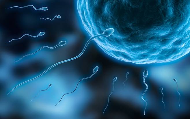 사진=게티이미지뱅크