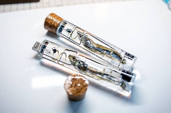 1.jpg 컨셉 존나 확실한 USB 컨셉 존나 확실한 USB