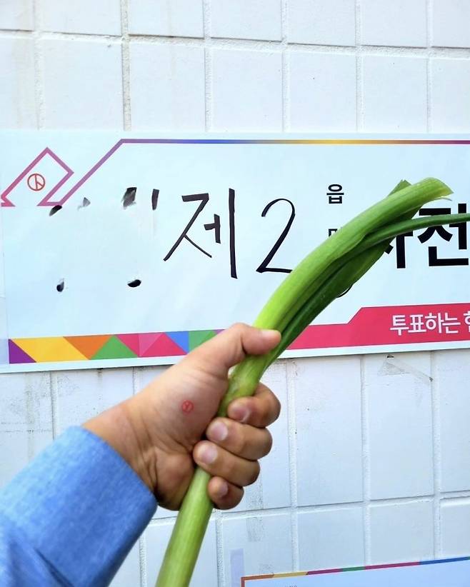 지난해 4월 22대 총선에서 투표 후 SNS에 올라온 이른바 '대파 인증샷'. 독자 제공. /사진=뉴시스