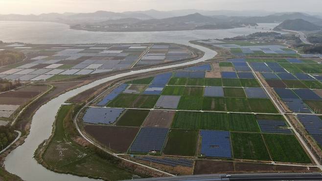 2021년 봄 전남 영암 영산강 하류의 한 농촌 마을 풍경. 논의 절반 이상이 태양광 패널로 점령당했다. 최병성 초록별생명평화연구소장 제공