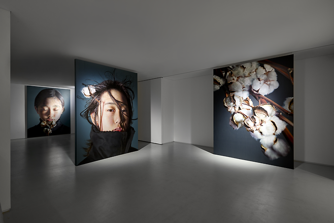 Installation view of "Kang Kang Hoon" at Johyun Gallery in Seoul (Johyun Gallery)