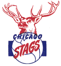시카고 스태그스 로고