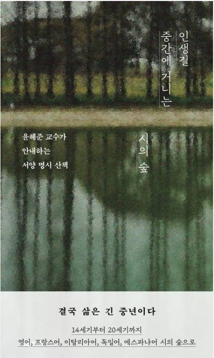 ▲<인생길 중간에 거니는 시의 숲> 윤혜준 글 ⓒ교유서가
