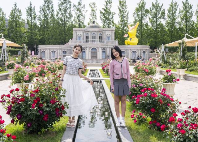 에버랜드 로로티 장미축제 현장. 사진 제공=에버랜드.