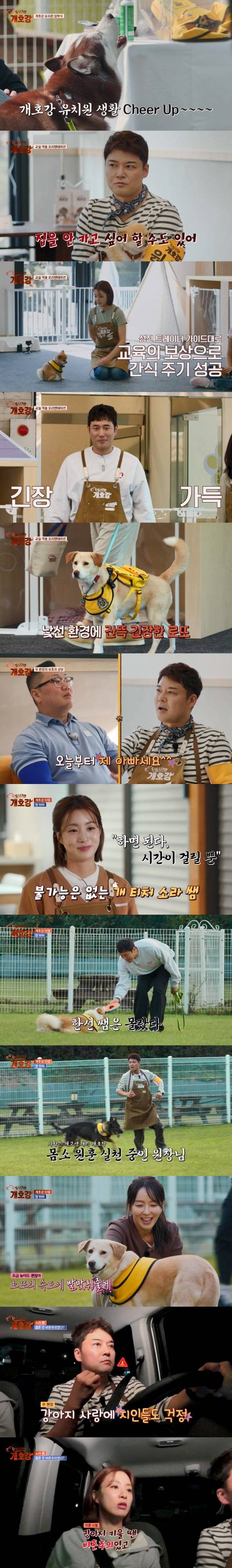 사진 제공 = JTBC ‘집 나가면 개호강’
