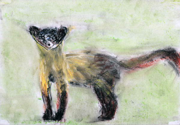 ‘Accidental Nature|우연적 자연’전은 생태계의 보고인 비무장지대를 조명한 작품을 만날 수 있다. 사진은 전시 출품작. /경기문화재단 제공.