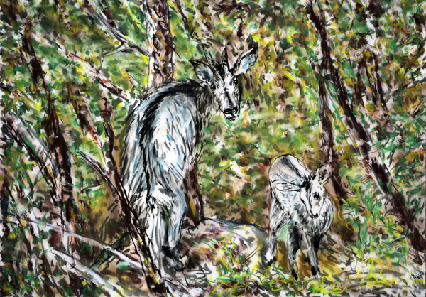 ‘Accidental Nature|우연적 자연’전은 생태계의 보고인 비무장지대를 조명한 작품을 만날 수 있다. 사진은 전시 출품작. /경기문화재단 제공.