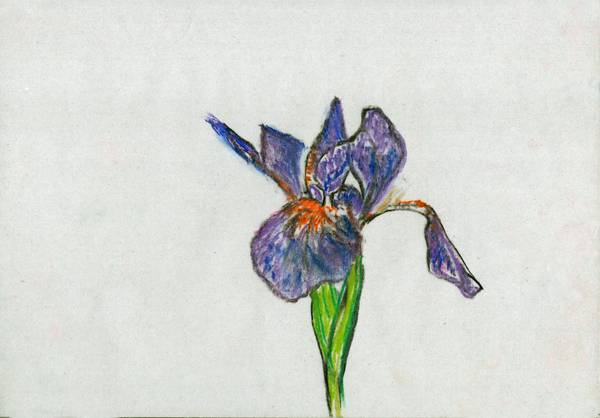 ‘Accidental Nature|우연적 자연’전은 생태계의 보고인 비무장지대를 조명한 작품을 만날 수 있다. 사진은 전시 출품작. /경기문화재단 제공.